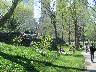 [central park]