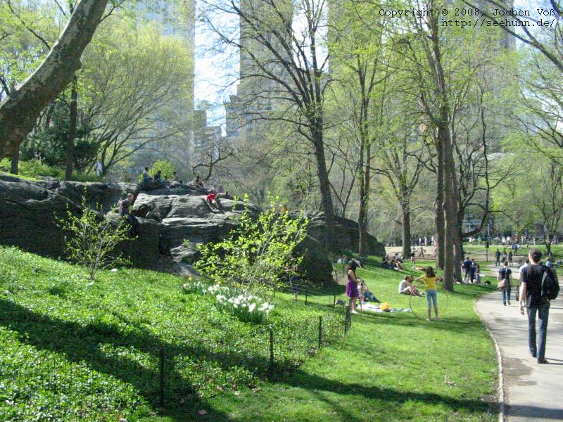 [central park]