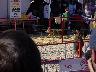 [pig racing]