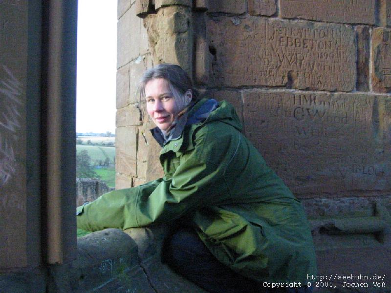 [Kenilworth Castle III]